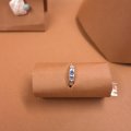SAM_0617