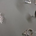 SAM_0737