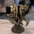 SAM_0860
