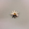 SAM_0827