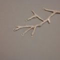 SAM_0846