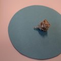 SAM_1062