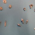 SAM_1063