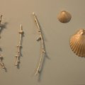 SAM_0181
