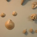 SAM_0182